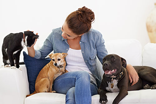 Showcase your Pet Sitting business to local Regina area customers.