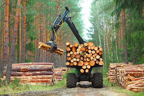 Showcase your forestry construction business to Regina and surrounding area customers.