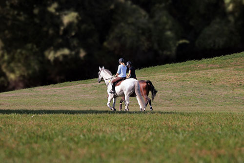 Advertise your Regina area activities to residents and tourists alike.