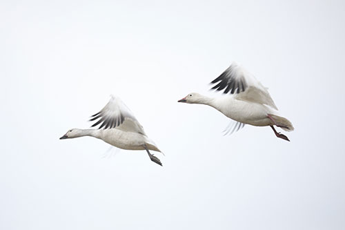 Showcasea your Regina area Travel Agency services to local residents and businesses.