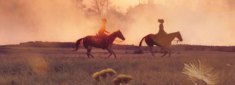 Do you offer tourism related or other activities?  Promote your Regina area business in our Local Business Portal online business directory website.